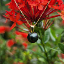 Load image into Gallery viewer, READY TO SHIP Graded Civa Fiji Pearl Necklace - 14k Solid Gold FJD$