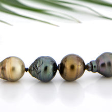 Load image into Gallery viewer, READY TO SHIP Civa Fiji Pearl Necklace Strand - 14k Solid Gold FJD$