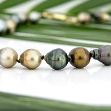 Load image into Gallery viewer, READY TO SHIP Civa Fiji Pearl Necklace Strand - 14k Solid Gold FJD$