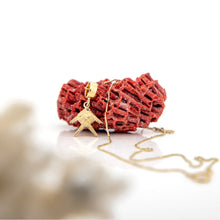 Load image into Gallery viewer, READY TO SHIP VoiVoi Ika Charm Necklace - Solid Gold FJD$