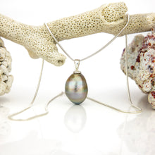 Load image into Gallery viewer, READY TO SHIP Civa Fiji Saltwater Pearl Necklace - 925 Sterling Silver FJD$