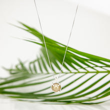 Load image into Gallery viewer, READY TO SHIP Civa Fiji Claw Set Graded Pearl Necklace - 925 Sterling Silver FJD$