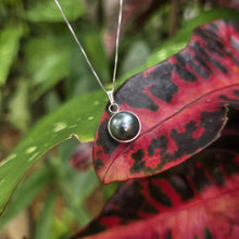 Load image into Gallery viewer, READY TO SHIP Civa Fiji Bezel Set Pearl Necklace - 925 Sterling Silver FJD$