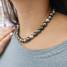 Load image into Gallery viewer, CONTACT US TO RECREATE THIS SOLD OUT STYLE Civa Fiji Pearl Necklace Strand - 925 Sterling Silver FJD$