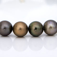 Load image into Gallery viewer, CONTACT US TO RECREATE THIS SOLD OUT STYLE Civa Fiji Pearl Necklace Strand - 925 Sterling Silver FJD$