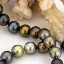 Load image into Gallery viewer, CONTACT US TO RECREATE THIS SOLD OUT STYLE Civa Fiji Pearl Necklace Strand - 925 Sterling Silver FJD$