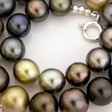 Load image into Gallery viewer, CONTACT US TO RECREATE THIS SOLD OUT STYLE Civa Fiji Pearl Necklace Strand - 925 Sterling Silver FJD$