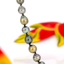 Load image into Gallery viewer, READY TO SHIP Civa Fiji Pearl Necklace Strand - 925 Sterling Silver FJD$