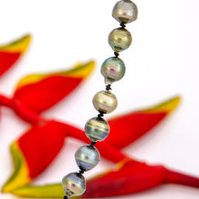 Load image into Gallery viewer, READY TO SHIP Civa Fiji Pearl Necklace Strand - 925 Sterling Silver FJD$