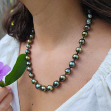 Load image into Gallery viewer, READY TO SHIP Civa Fiji Pearl Necklace Strand - 925 Sterling Silver FJD$