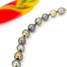 Load image into Gallery viewer, READY TO SHIP Civa Fiji Pearl Necklace Strand - 925 Sterling Silver FJD$