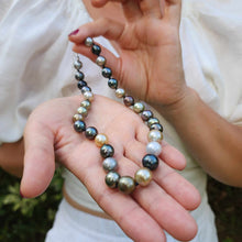 Load image into Gallery viewer, READY TO SHIP Civa Fiji Pearl Necklace Strand - 925 Sterling Silver FJD$