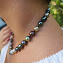 Load image into Gallery viewer, READY TO SHIP Civa Fiji Pearl Necklace Strand - 925 Sterling Silver FJD$