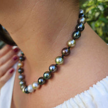 Load image into Gallery viewer, READY TO SHIP Civa Fiji Pearl Necklace Strand - 925 Sterling Silver FJD$