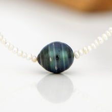 Load image into Gallery viewer, READY TO SHIP Freshwater Pearl Necklace with Civa Fiji Pearl - 925 Sterling Silver FJD$