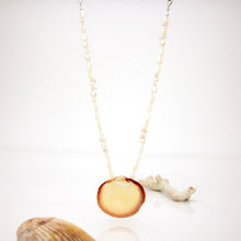 Load image into Gallery viewer, READY TO SHIP Freshwater Pearl & Shell Necklace - 925 Sterling Silver FJD$