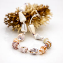 Load image into Gallery viewer, READY TO SHIP Freshwater Pearl & Shell Necklace - 925 Sterling Silver FJD$
