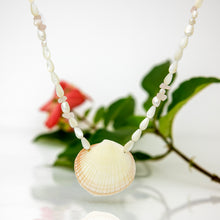 Load image into Gallery viewer, READY TO SHIP Freshwater Pearl & Shell Necklace - 925 Sterling Silver FJD$