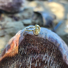 Load image into Gallery viewer, READY TO SHIP Mini Nautilus Ring - 18k Gold Vermeil FJD$