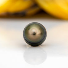 Load image into Gallery viewer, WHOLESALE Civa Fiji Pearl Fish Hook Necklace - Nylon & 925 Sterling Silver FJD$