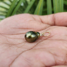 Load image into Gallery viewer, READY TO SHIP Civa Fiji Pearl Pendant - 14k Gold Fill FJD$