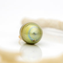 Load image into Gallery viewer, READY TO SHIP Civa Fiji Pearl Pendant - 14k Gold Fill FJD$