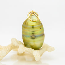 Load image into Gallery viewer, READY TO SHIP Civa Fiji Pearl Pendant - 14k Gold Fill FJD$