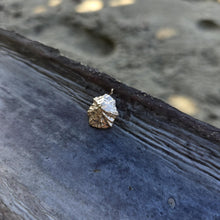 Load image into Gallery viewer, READY TO SHIP Cast Shell Pendant - 9k Solid Gold FJD$