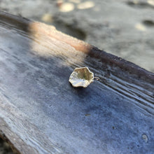 Load image into Gallery viewer, READY TO SHIP Cast Shell Pendant - 9k Solid Gold FJD$