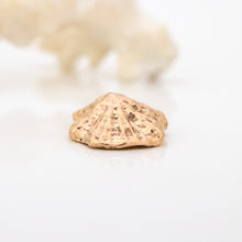 Load image into Gallery viewer, READY TO SHIP Cast Shell Pendant - 9k Solid Gold FJD$