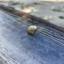 Load image into Gallery viewer, READY TO SHIP Cast Shell Pendant - 9k Solid Gold FJD$