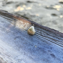 Load image into Gallery viewer, READY TO SHIP Cast Shell Pendant - 9k Solid Gold FJD$