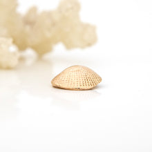 Load image into Gallery viewer, READY TO SHIP Cast Shell Pendant - 9k Solid Gold FJD$