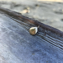 Load image into Gallery viewer, READY TO SHIP Cast Shell Pendant - 9k Solid Gold FJD$