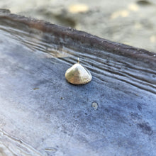 Load image into Gallery viewer, READY TO SHIP Cast Shell Pendant - 9k Solid Gold FJD$