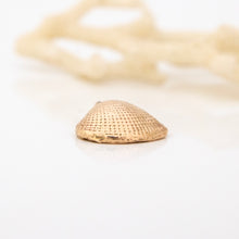 Load image into Gallery viewer, READY TO SHIP Cast Shell Pendant - 9k Solid Gold FJD$