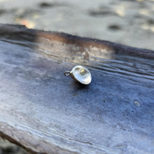Load image into Gallery viewer, READY TO SHIP Cast Shell Pendant - 9k Solid Gold FJD$