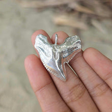 Load image into Gallery viewer, READY TO SHIP Tiger Shark Tooth Pendant - 925 Sterling Silver FJD$