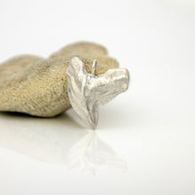 Load image into Gallery viewer, READY TO SHIP Tiger Shark Tooth Pendant - 925 Sterling Silver FJD$