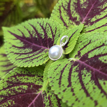 Load image into Gallery viewer, READY TO SHIP Civa Fiji Bezel Set Pearl Pendant - 925 Sterling Silver FJD$