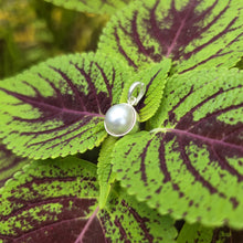 Load image into Gallery viewer, READY TO SHIP Civa Fiji Bezel Set Pearl Pendant - 925 Sterling Silver FJD$