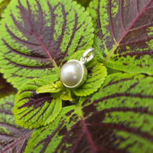 Load image into Gallery viewer, READY TO SHIP Civa Fiji Bezel Set Pearl Pendant - 925 Sterling Silver FJD$