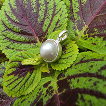 Load image into Gallery viewer, READY TO SHIP Civa Fiji Bezel Set Pearl Pendant - 925 Sterling Silver FJD$