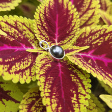 Load image into Gallery viewer, READY TO SHIP Civa Fiji Bezel Set Pearl Pendant - 925 Sterling Silver FJD$