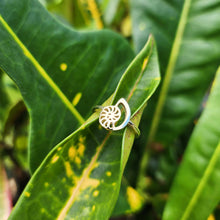 Load image into Gallery viewer, READY TO SHIP Mini Nautilus Ring - 18k Gold Vermeil FJD$