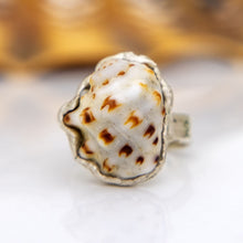 Load image into Gallery viewer, CONTACT US TO RECREATE THIS SOLD OUT STYLE Free Flow Shell Ring - 925 Sterling Silver FJD$