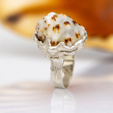 Load image into Gallery viewer, CONTACT US TO RECREATE THIS SOLD OUT STYLE Free Flow Shell Ring - 925 Sterling Silver FJD$