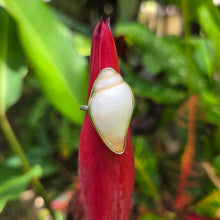 Load image into Gallery viewer, READY TO SHIP Bezel Set Shell Ring - 925 Sterling Silver FJD$