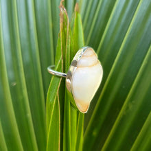 Load image into Gallery viewer, READY TO SHIP Bezel Set Shell Ring - 925 Sterling Silver FJD$