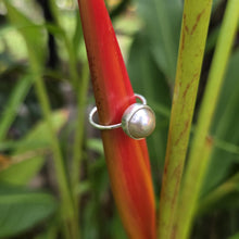 Load image into Gallery viewer, READY TO SHIP Civa Fiji Bezel Set Pearl Ring - 925 Sterling Silver FJD$